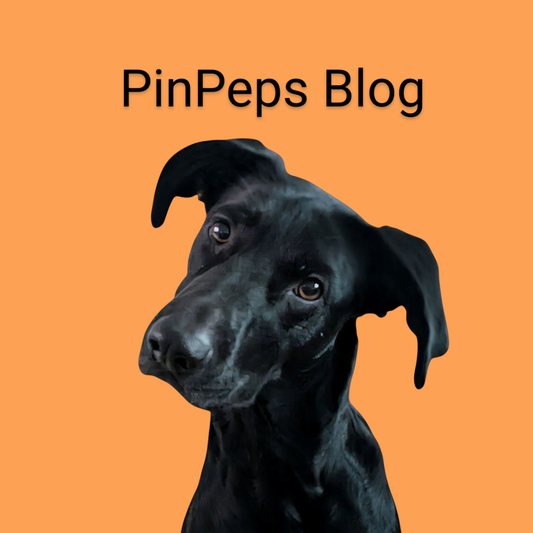 PinPeps Blog - Herzlich Willkommen