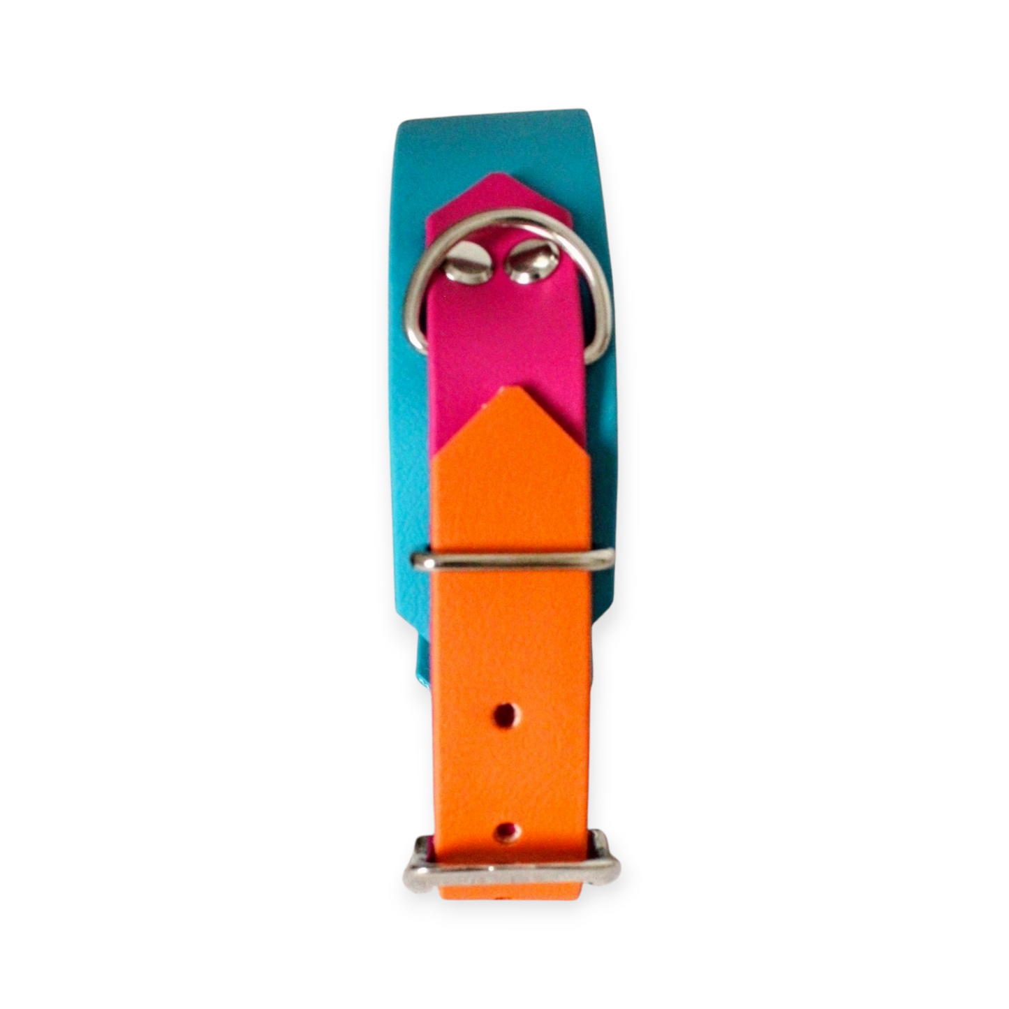 Biothane® Halsband ' Spring Pop'