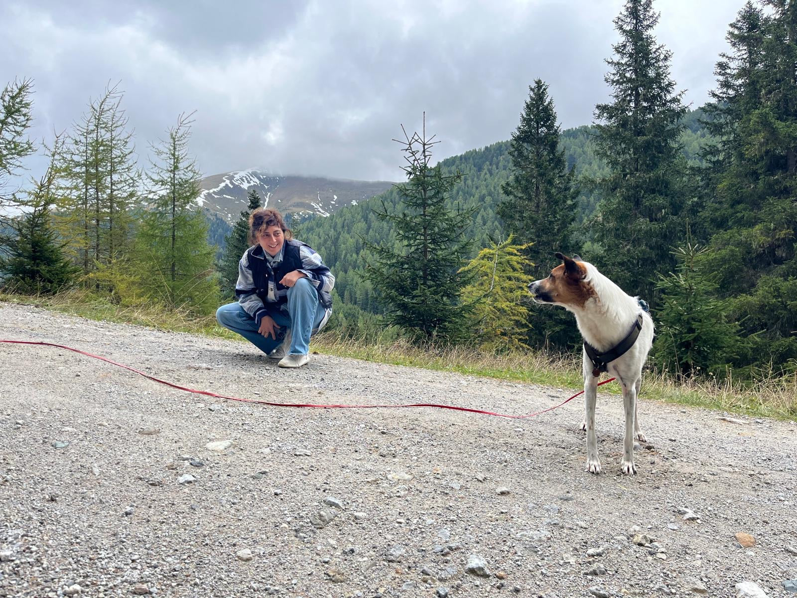 Leinenzieher – Warum Leinenführigkeit mehr ist als „bei Fuß“ laufen