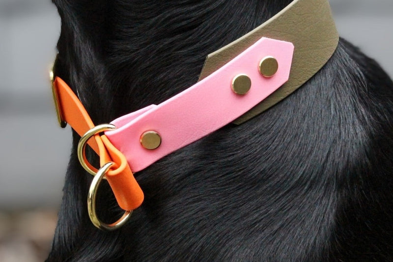 Halsbänder