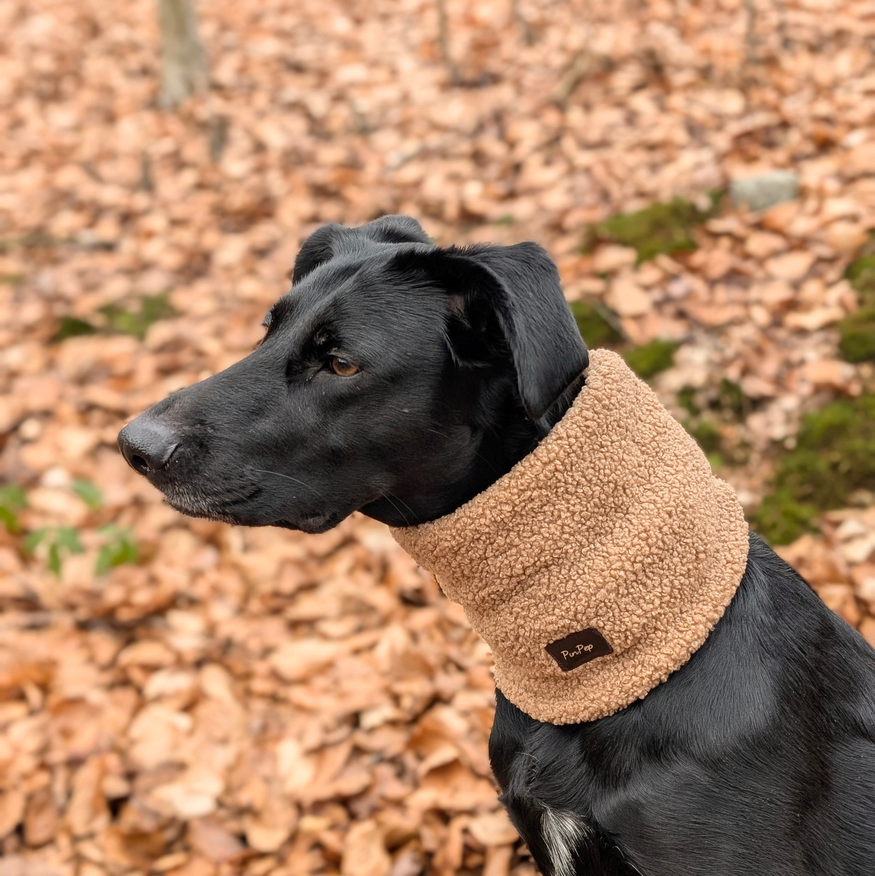 Accessoires Hund