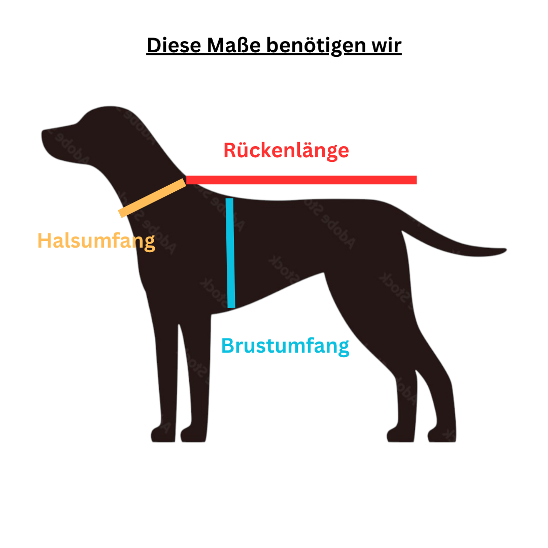Hundemantel Bouclé in verschiedenen Farben KONFIGURATOR