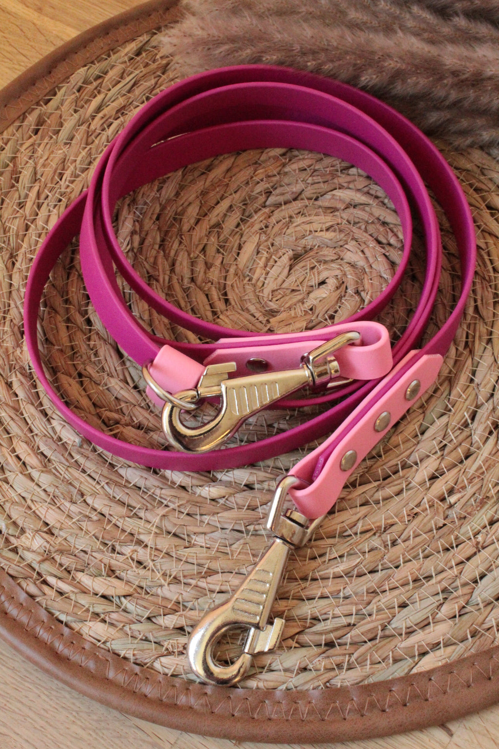 Biothane® Leine 'Twin' 2m Gestalte selbst