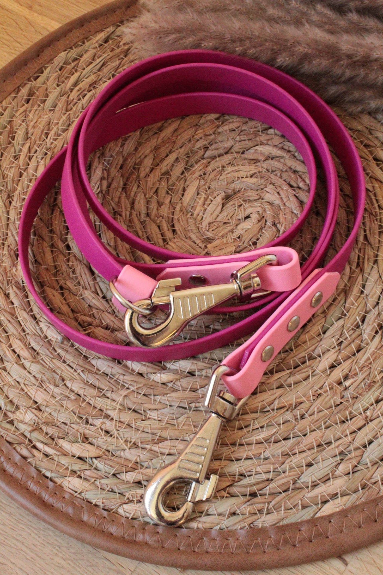 Biothane® Leine 'Twin' 2m Gestalte selbst