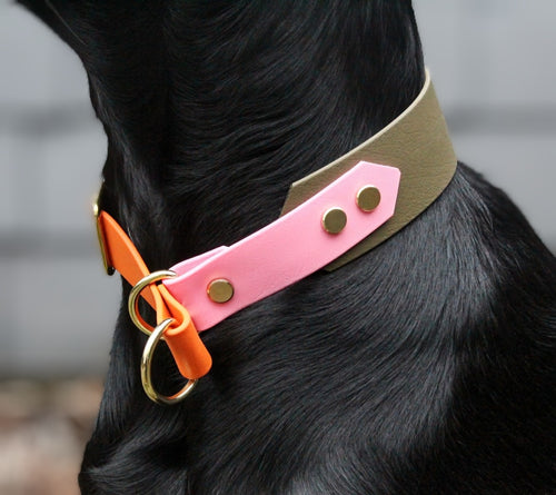 Biothane® Halsband 'Zugstopp Twin' breit, KONFIGURATOR