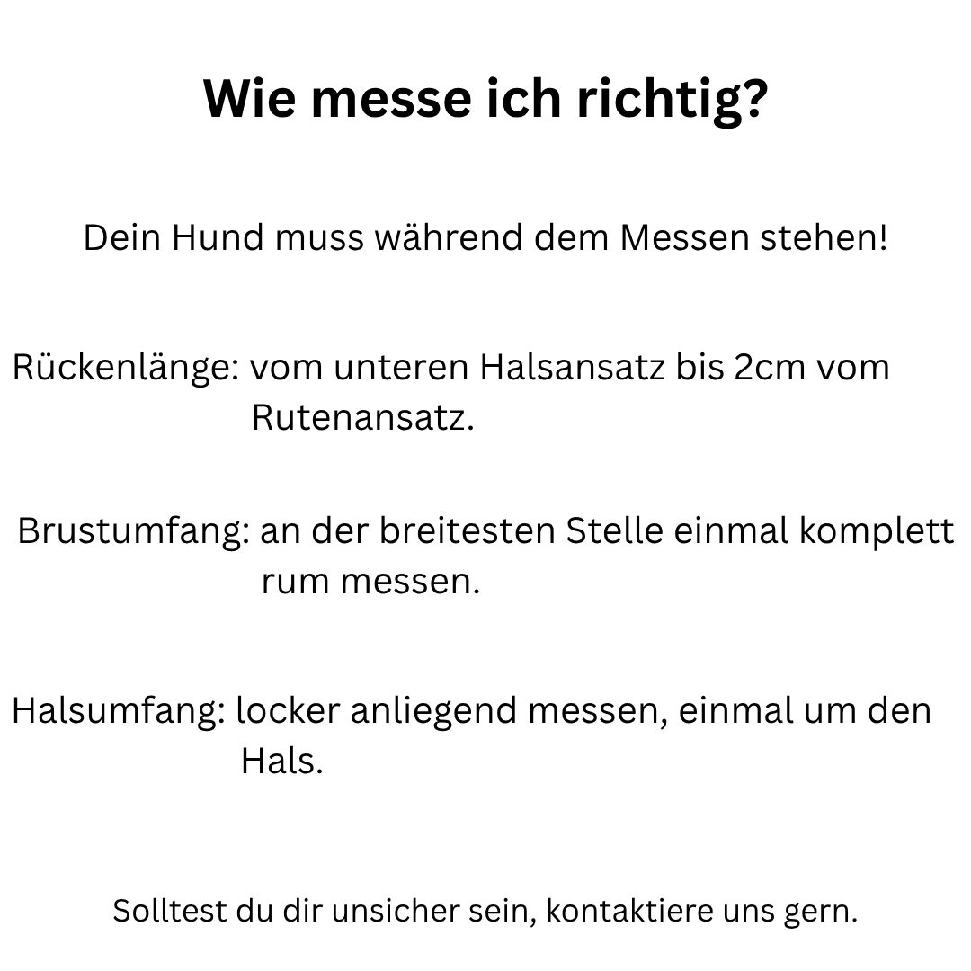 Hundemantel Bouclé in verschiedenen Farben KONFIGURATOR