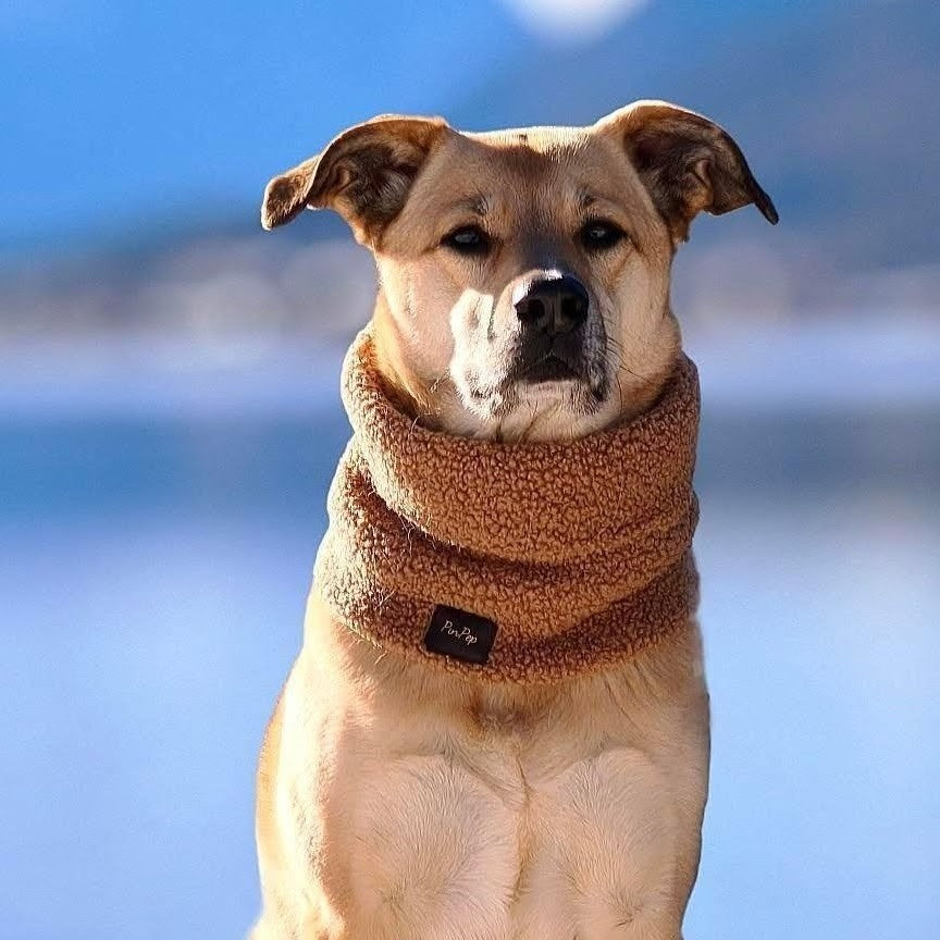 Loop  aus Boucle in verschiedenen Farben