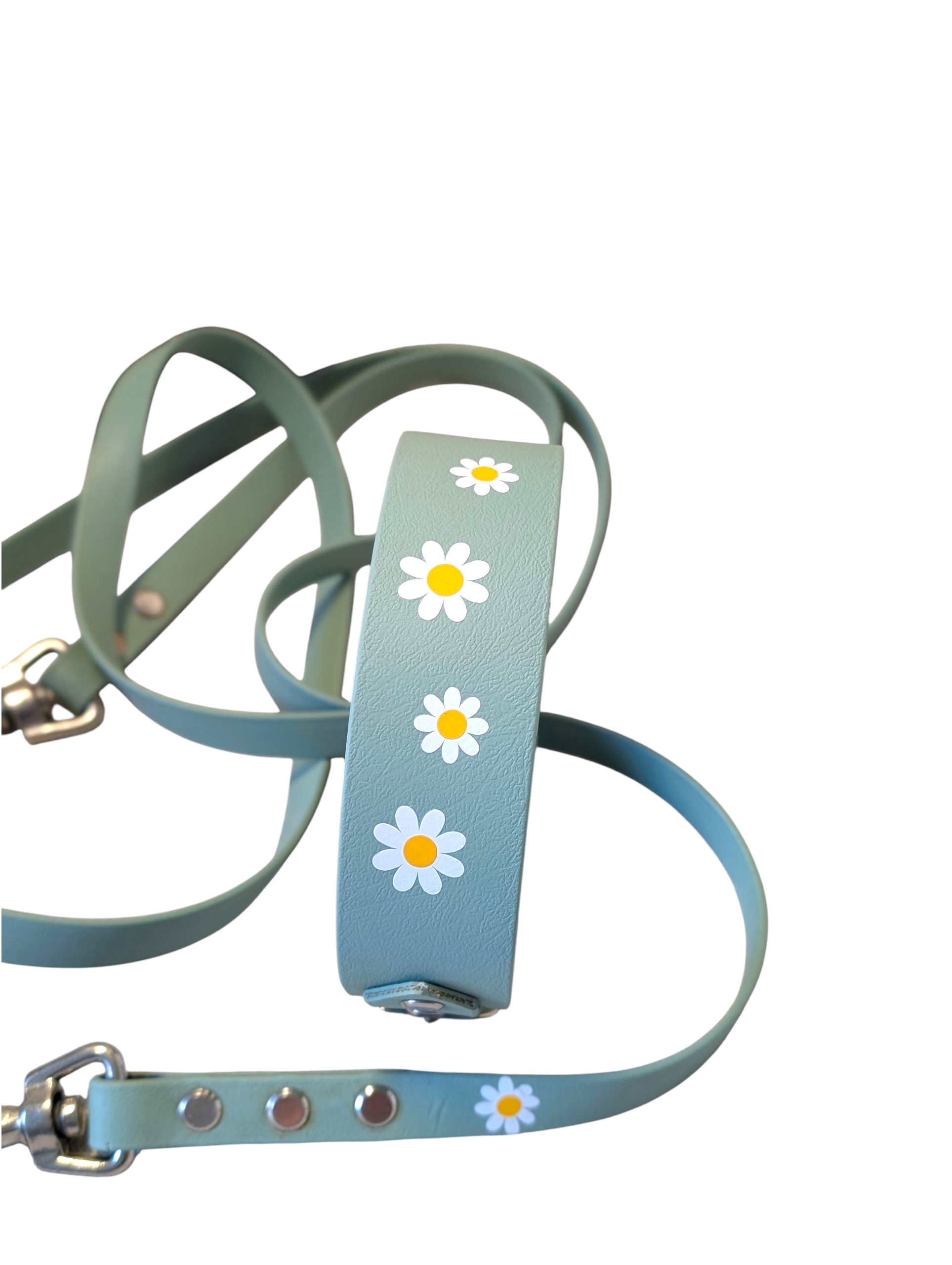 Set Halsband und/oder Leine 'Gänseblümchen', verschiedene Farben