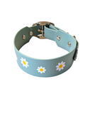 Set Halsband und/oder Leine 'Gänseblümchen', verschiedene Farben