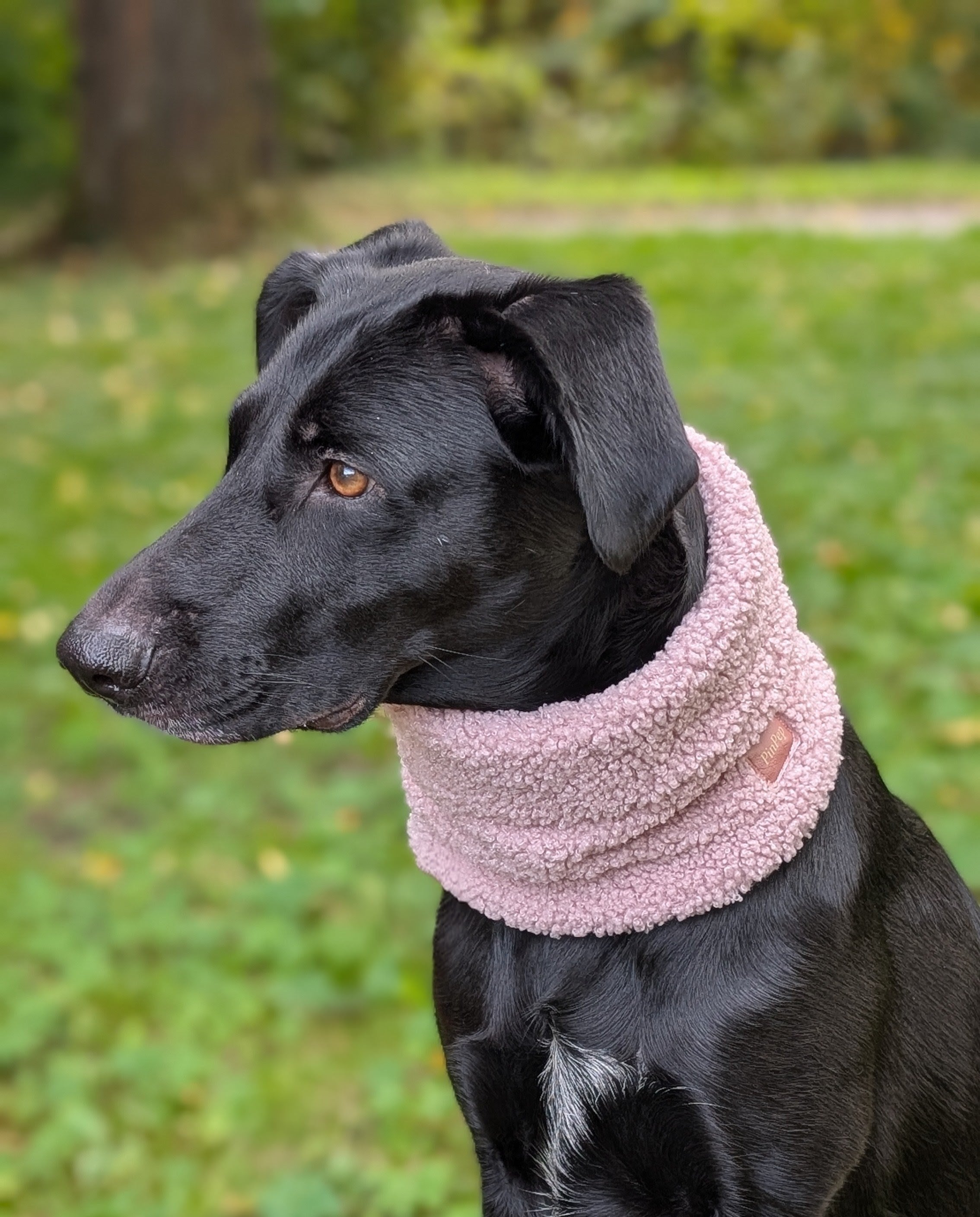 Loop  aus Boucle in verschiedenen Farben