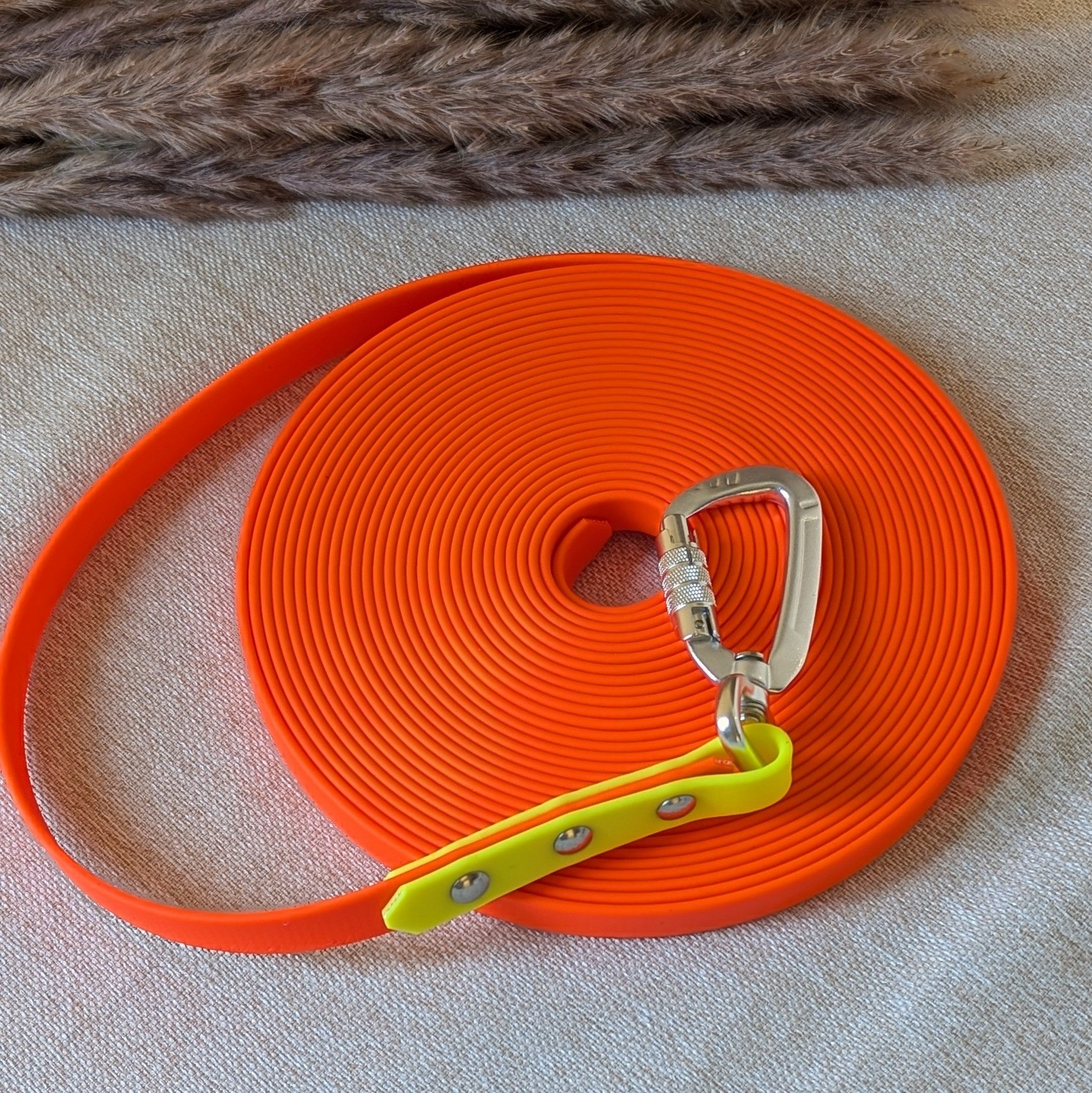 Schleppleine Biothane®  Gestalte selbst