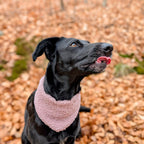 Halstuch aus Bouclé