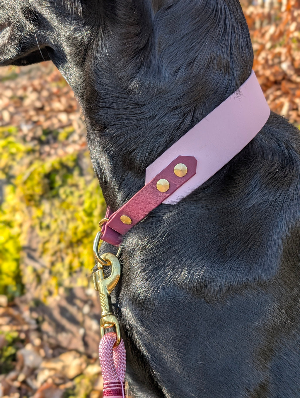 Halsband Zugstopp Velvet Blush