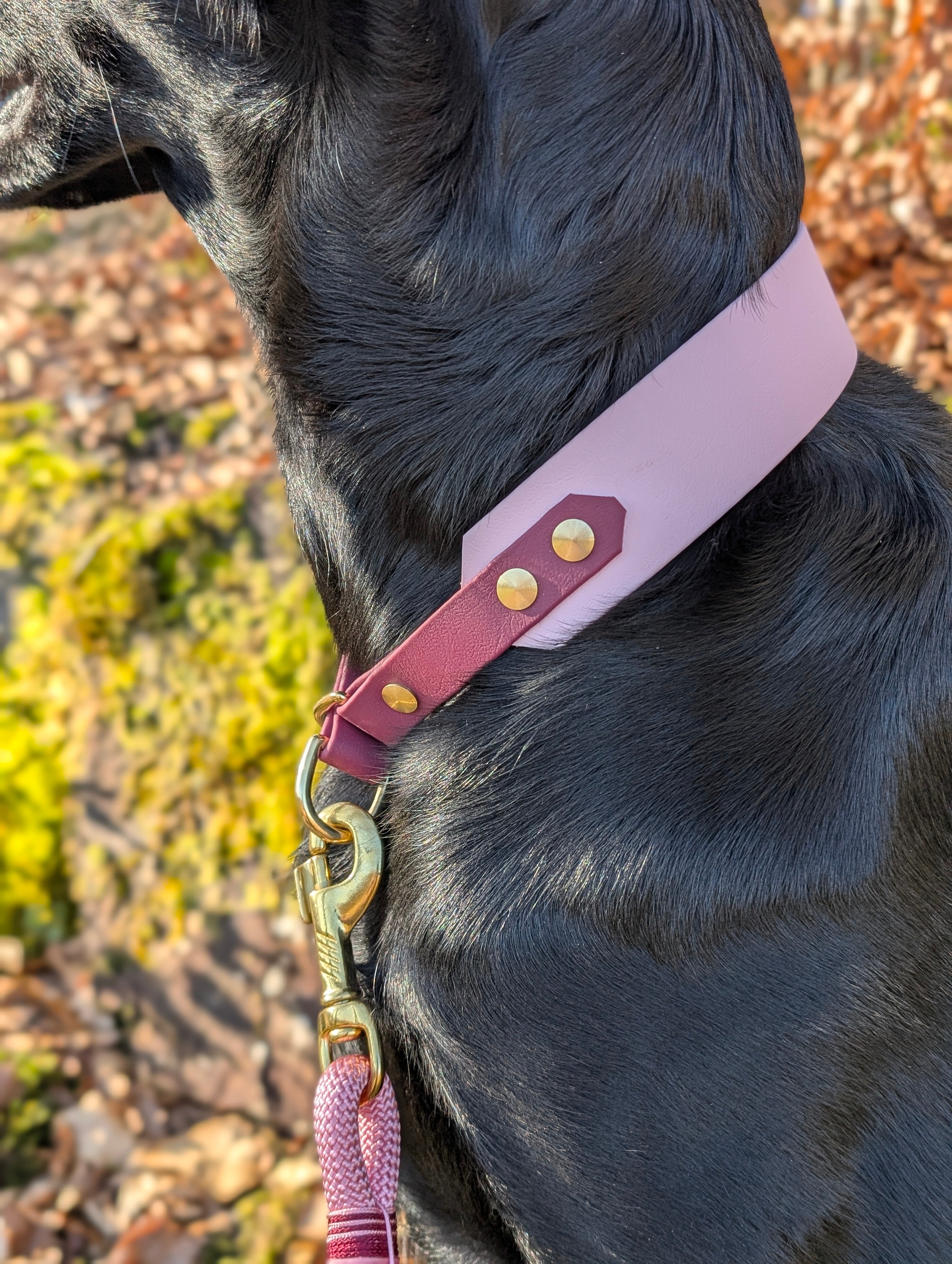 Halsband Zugstopp Velvet Blush