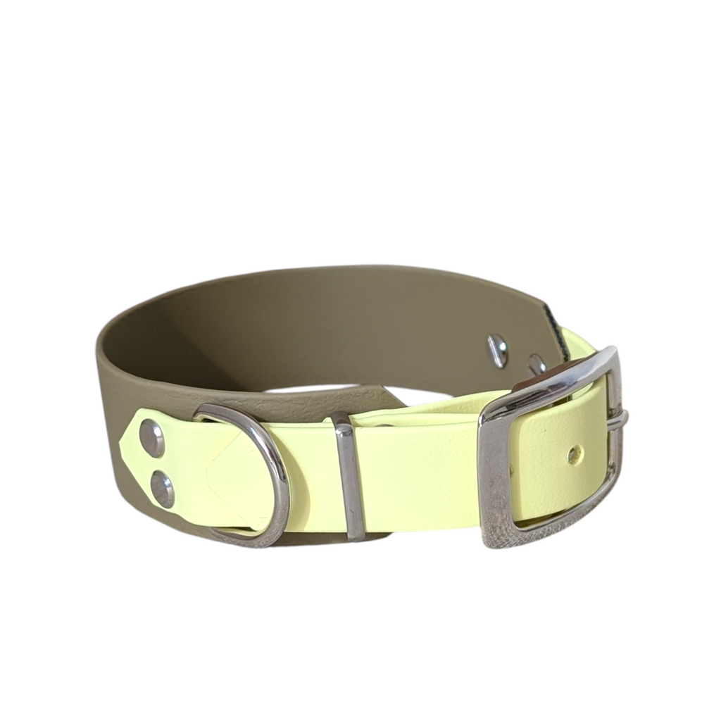 Halsband Desert Lime