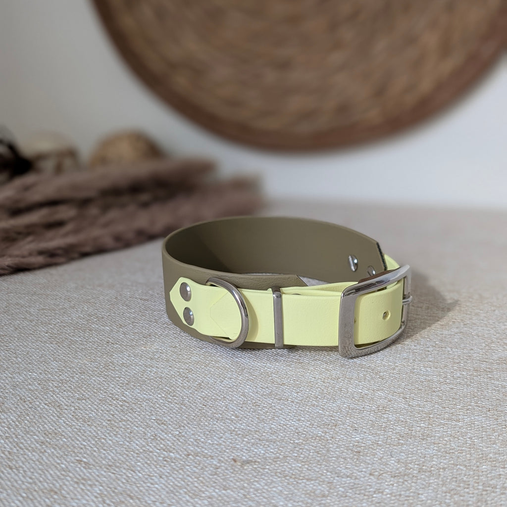 Halsband Desert Lime