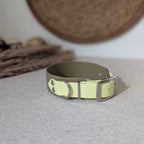 Halsband Desert Lime