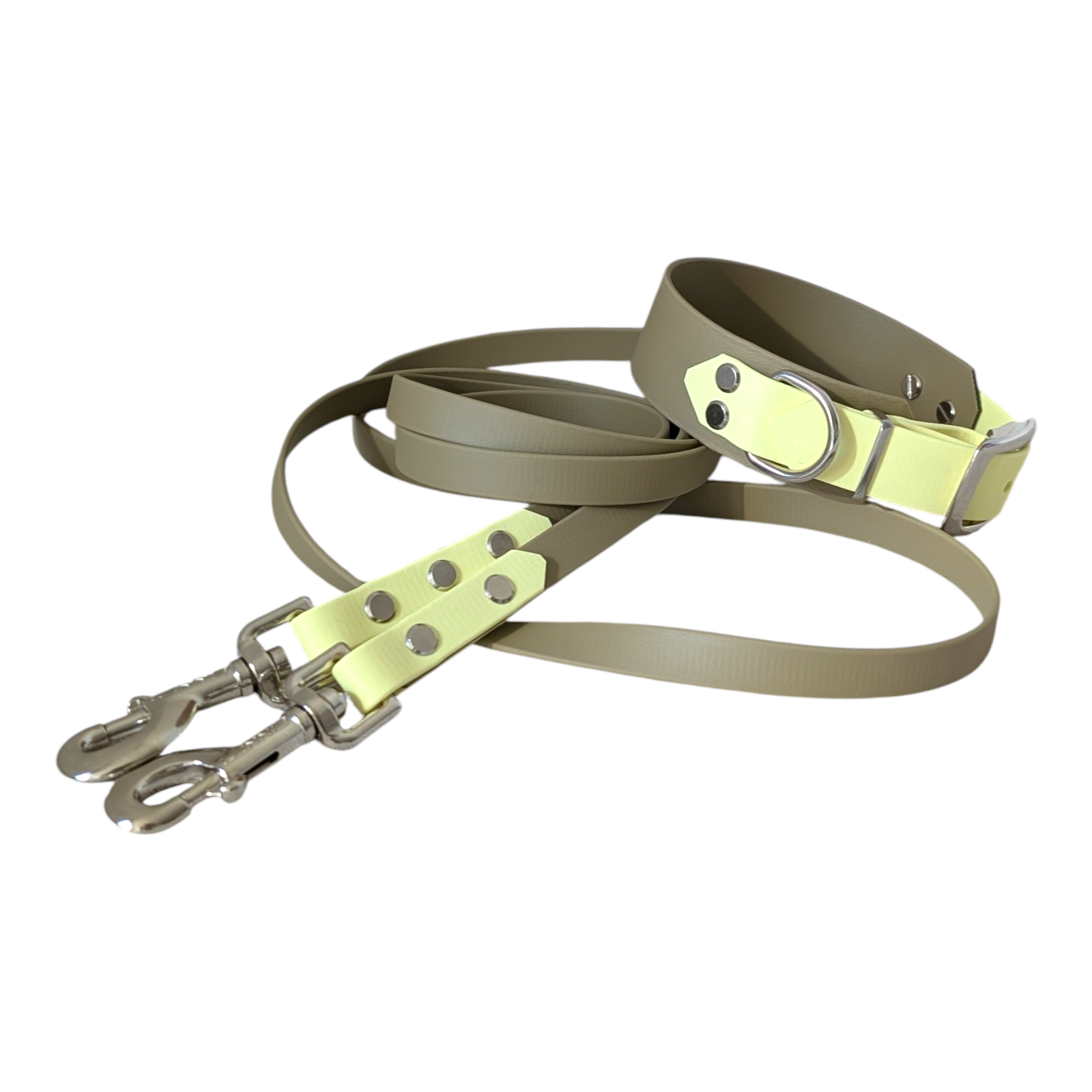 Leine Desert Lime aus Biothane®