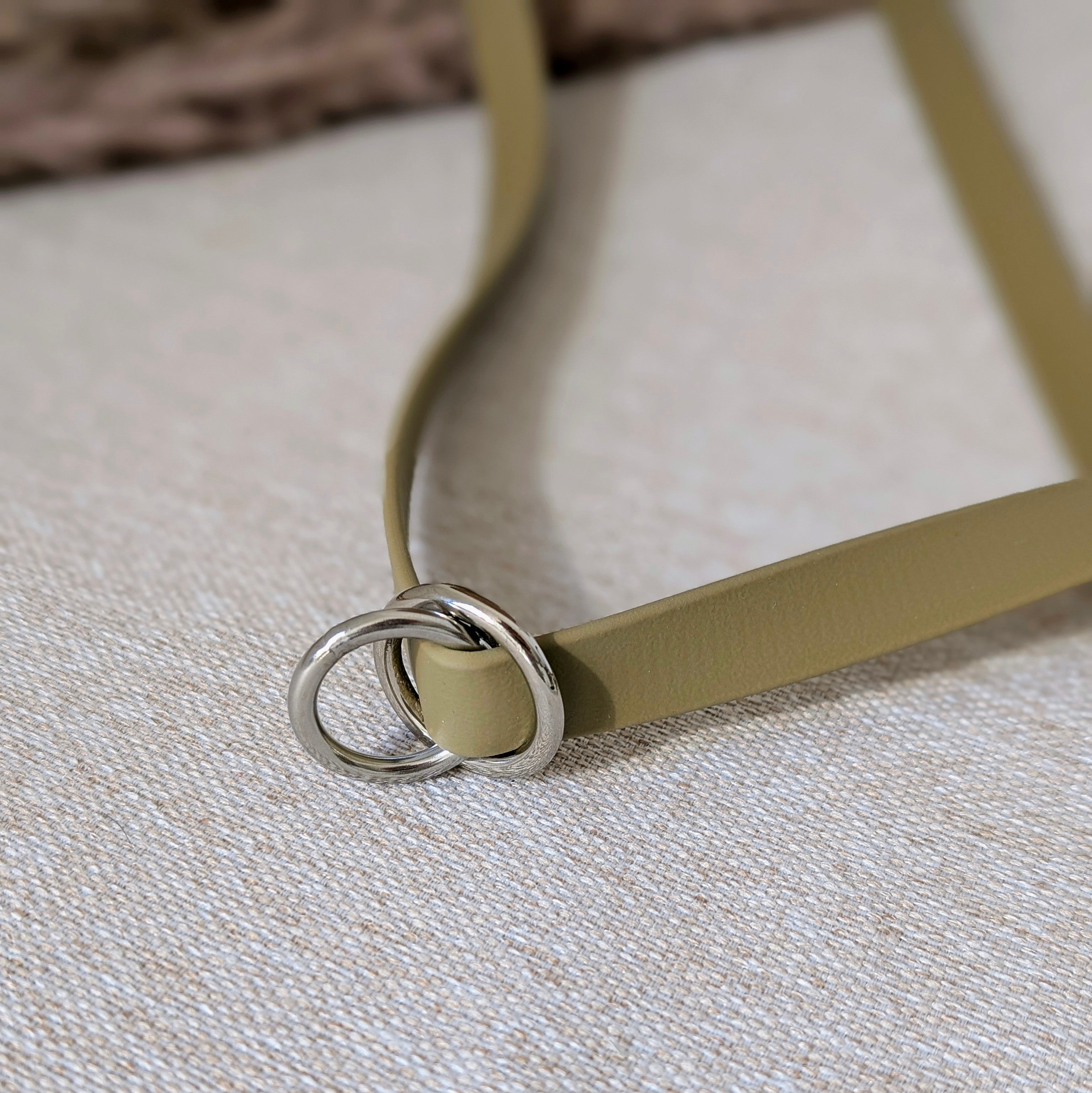 Leine Desert Lime aus Biothane®