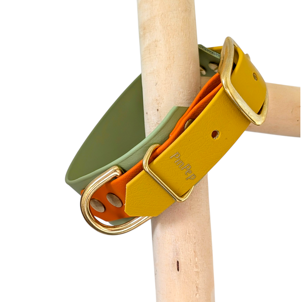 Biothane® Halsband 'Twin' in guacamole, senf & burntorange, verschiedene Breiten