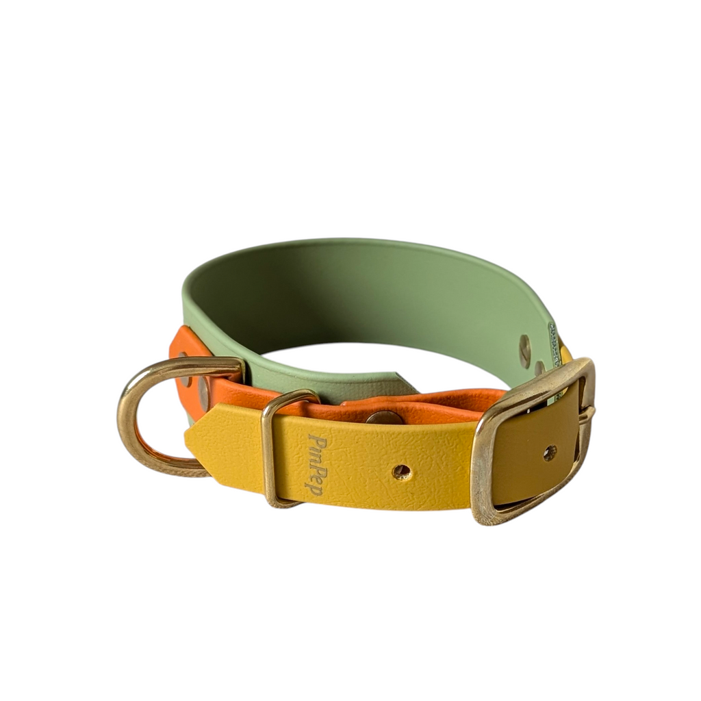 breites Halsband aus Biothane mit schmaleren Laschen in guacamole, senf und burtnorange und Messing Beschlägen