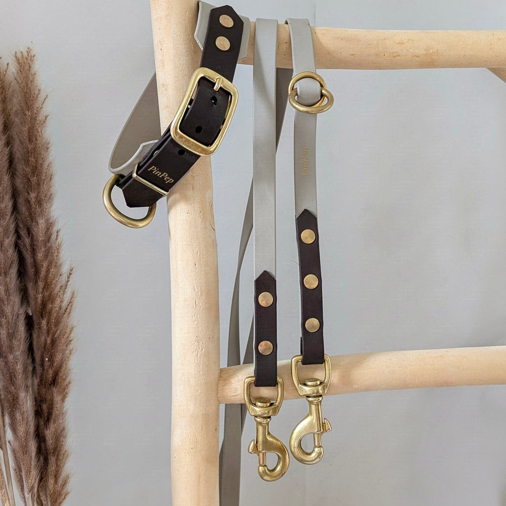 Halsband und Leine aus Biothane in taupe und dunkelbraun