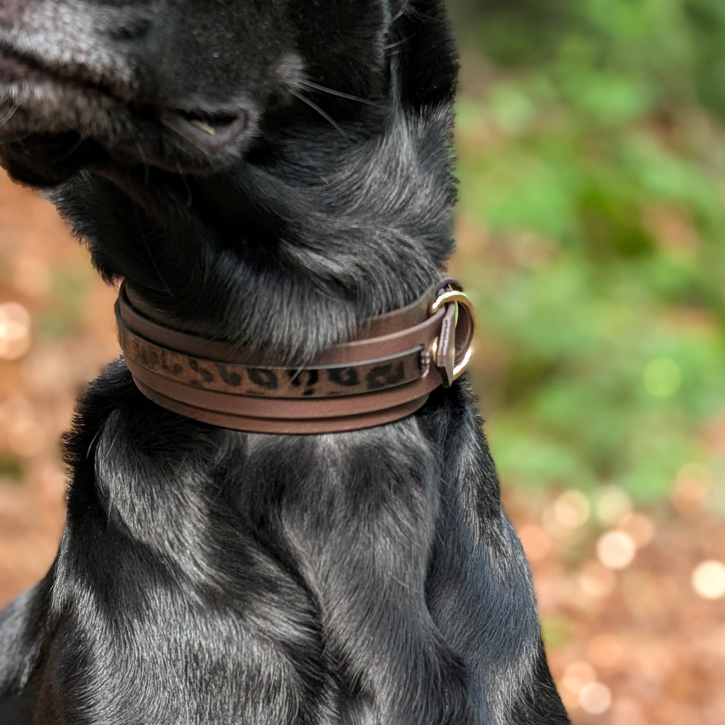 Biothane® Halsband in dunkelbraun mit Leoband