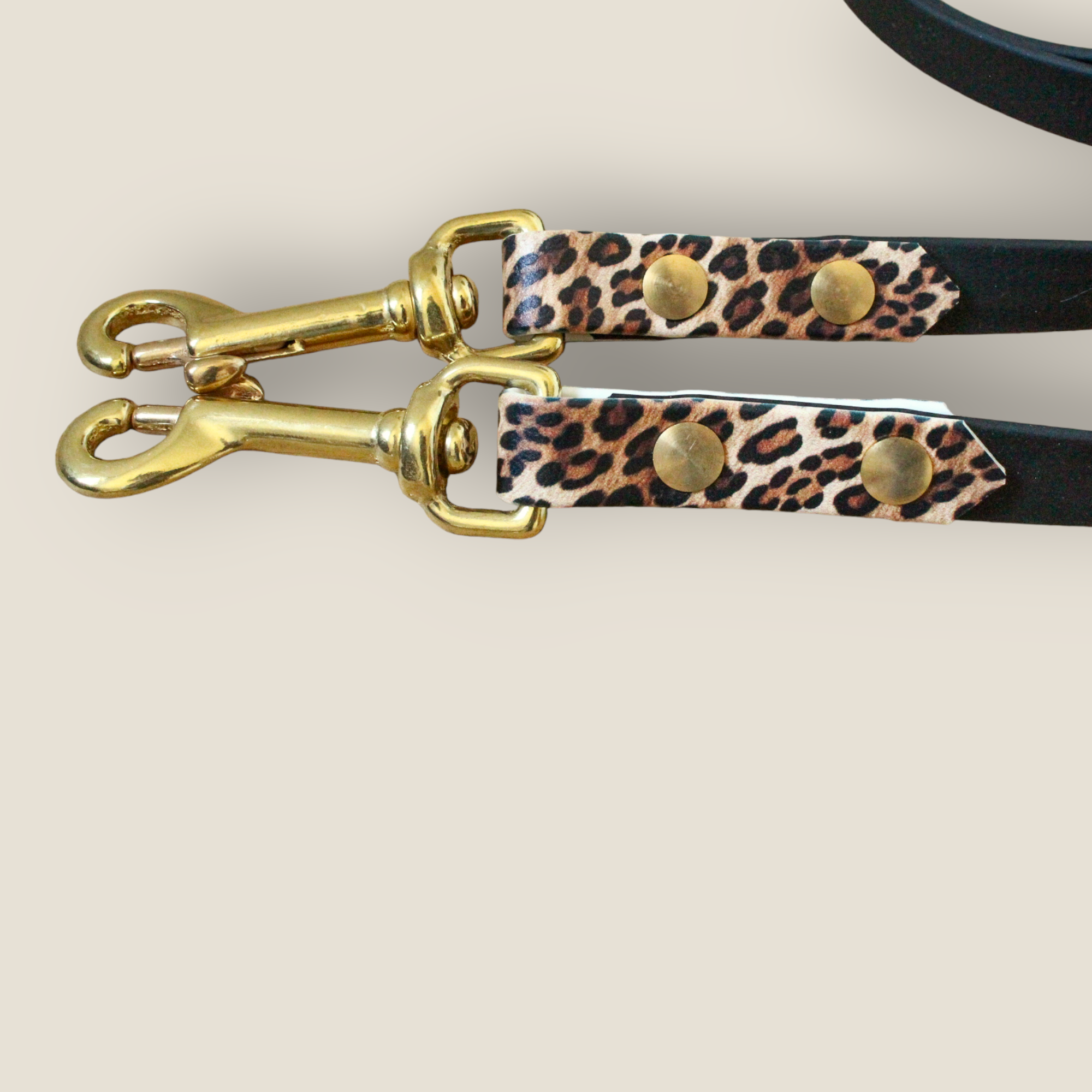 Biothane® Leine 'Leo Twin'