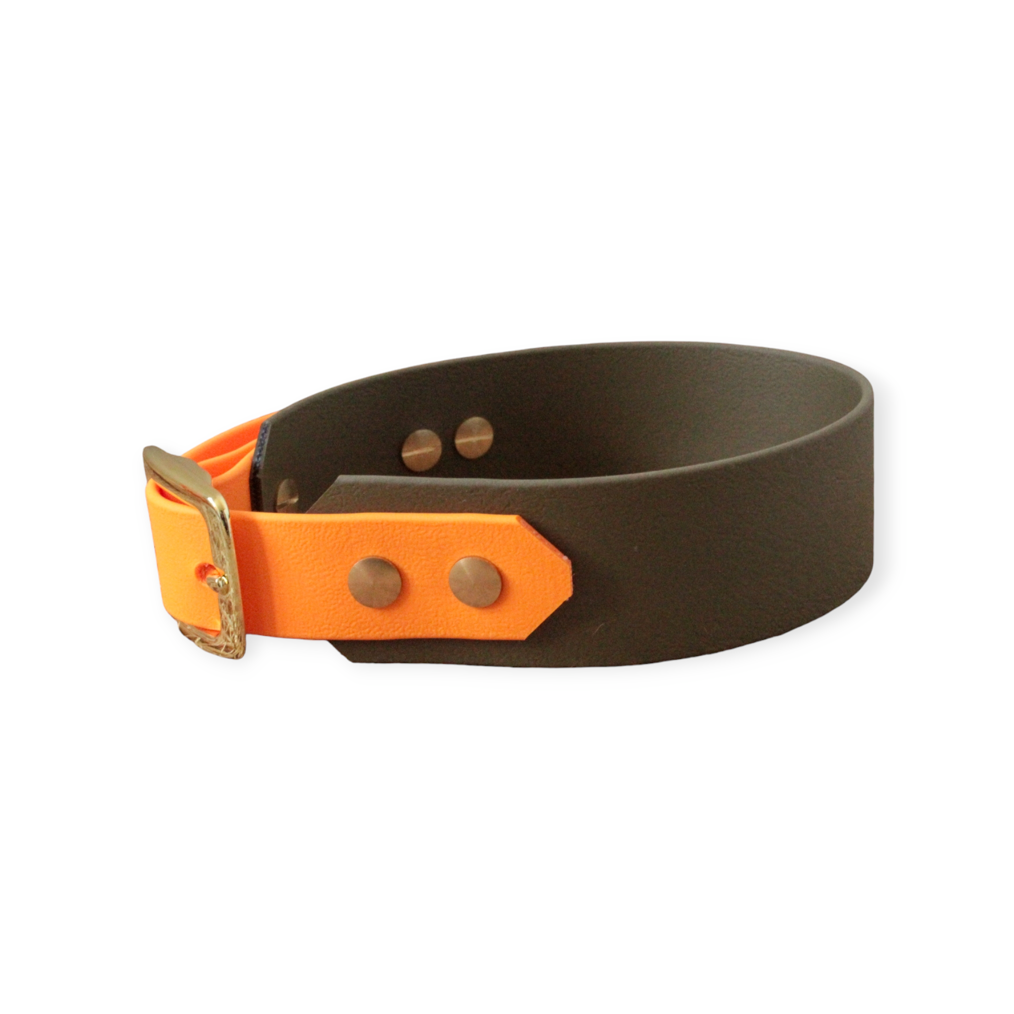 Biothane® Halsband 'MINI Twin' Gestalte selbst