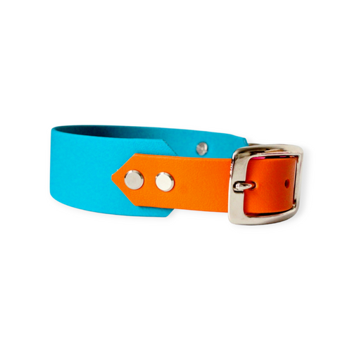 Biothane® Halsband ' Spring Pop'