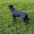 Hunde Regenmantel, Übergangsmantel marine