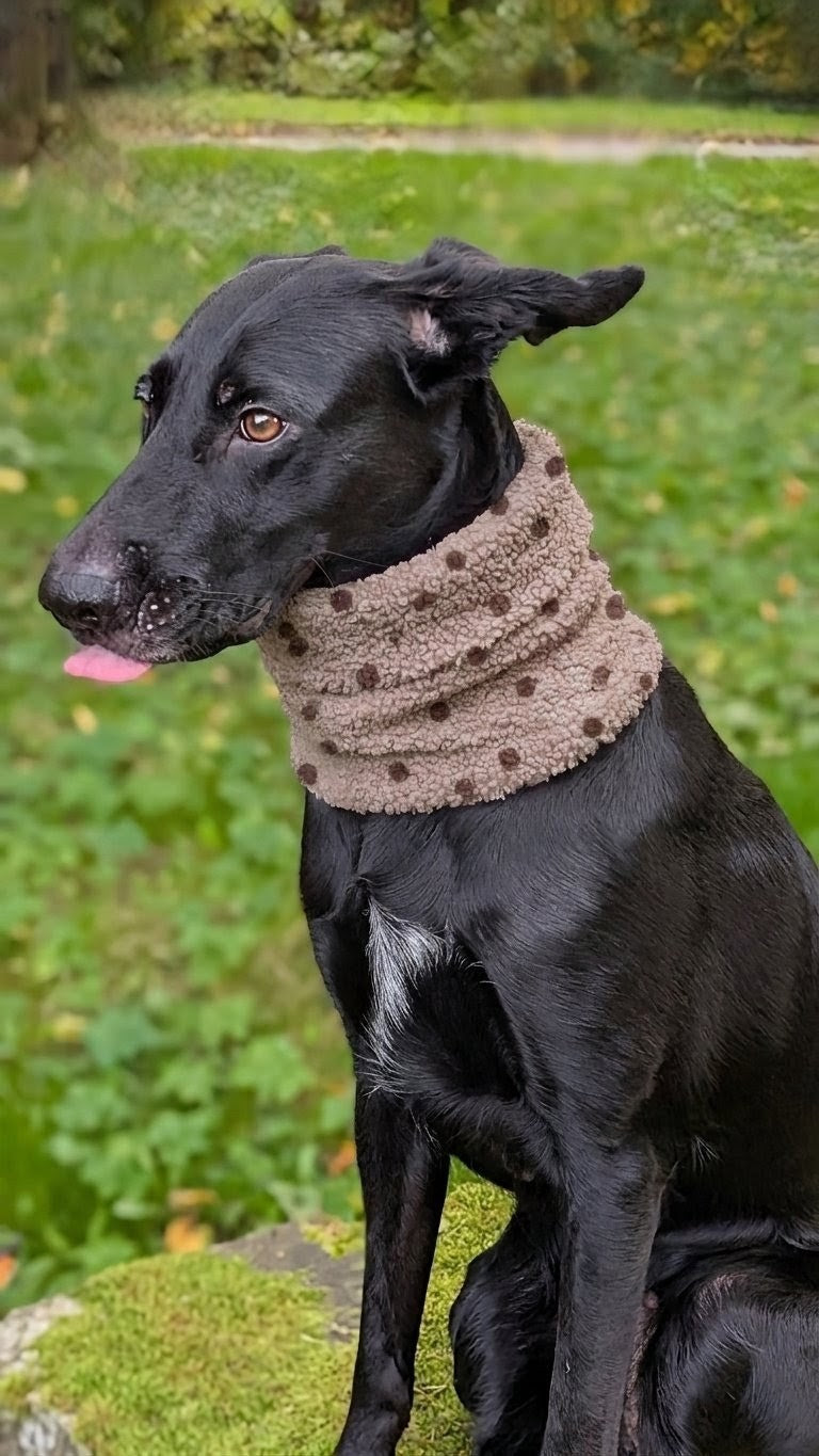 Hundeloop / Hundeschal aus Teddy Stoff in Taupe und Punkten in braun