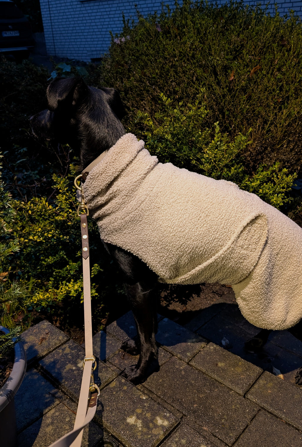 Hundemantel Bouclé in verschiedenen Farben