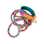 Set 'Spring Pop'